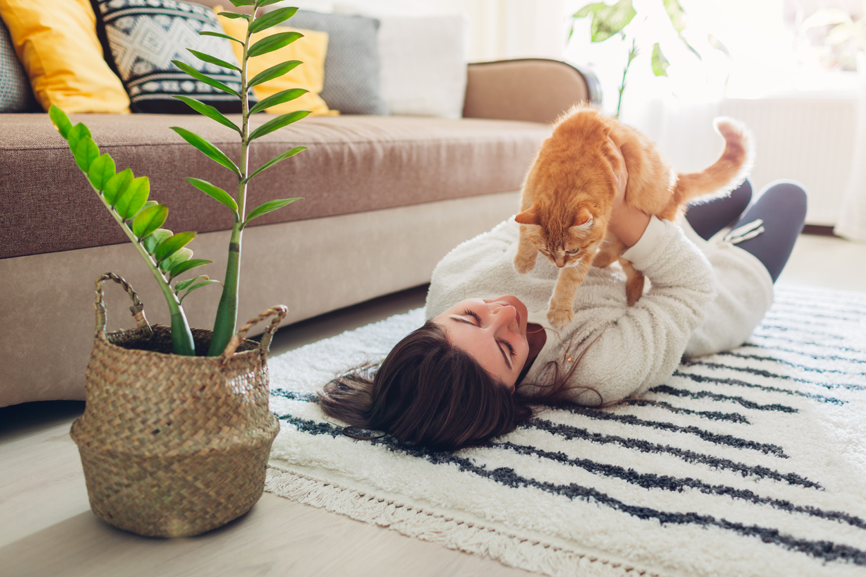 Pet lovers showing home tips